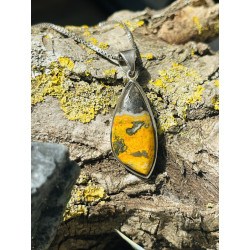 Jaspe Bumblebee volcanique...