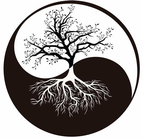 Nos produits